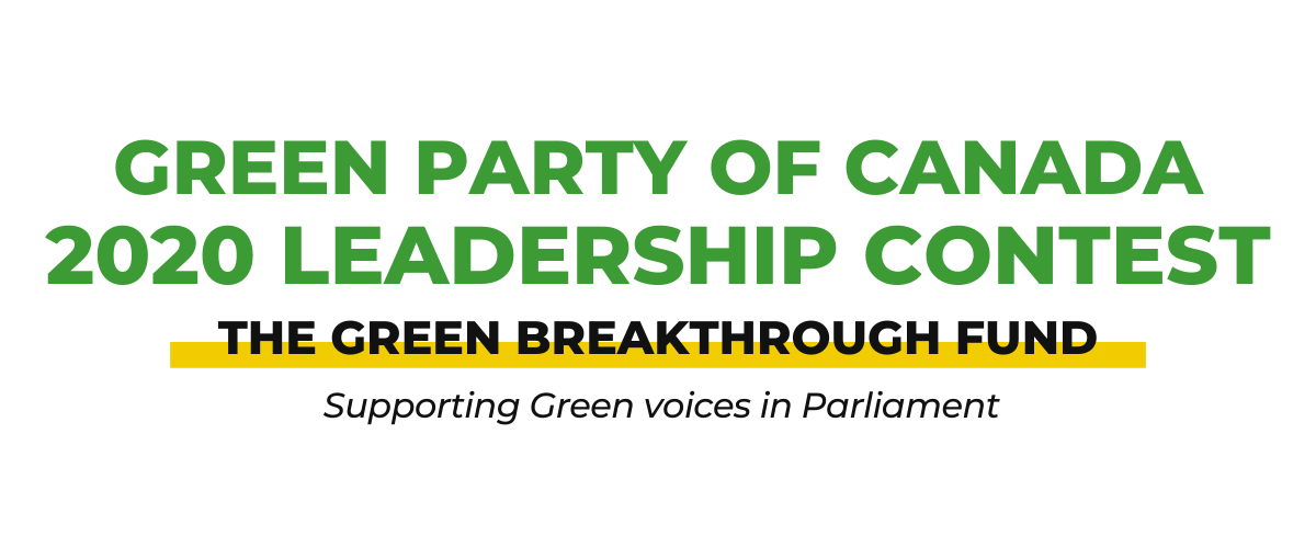 Green Party Leadership Contest 2020 - The Green Breakthrough Fund